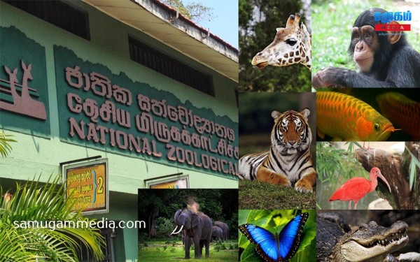 படம் எடுப்பதற்கு 500 ரூபா..! இலங்கையில் அதிகரிக்கப்பட்ட கட்டணங்கள்..! வெளியான அறிவிப்பு samugammedia 